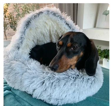 2-in-1 Pet Bed